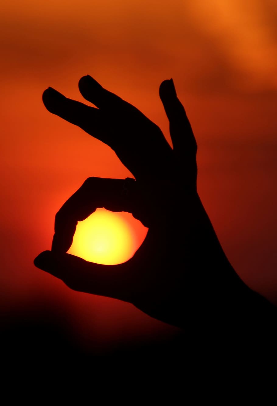 Sun, Hand, Fingers, Shadows, Play, sunset, human hand, human body part, human finger, silhouette