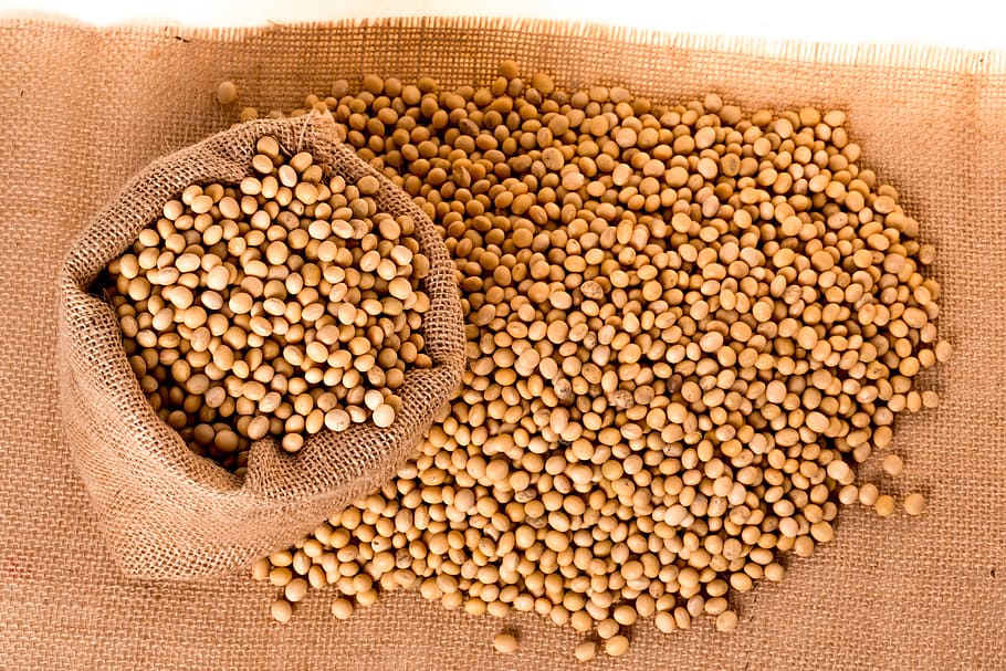 flat, lay, photography, soy beans, Soybeans, Plants, Seeds, Bag, Burlap, grain