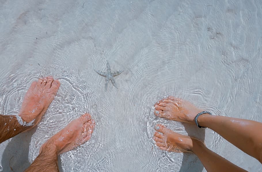 dos, persona, de pie, agua, gris, estrella de mar, mar, océano, naturaleza, personas