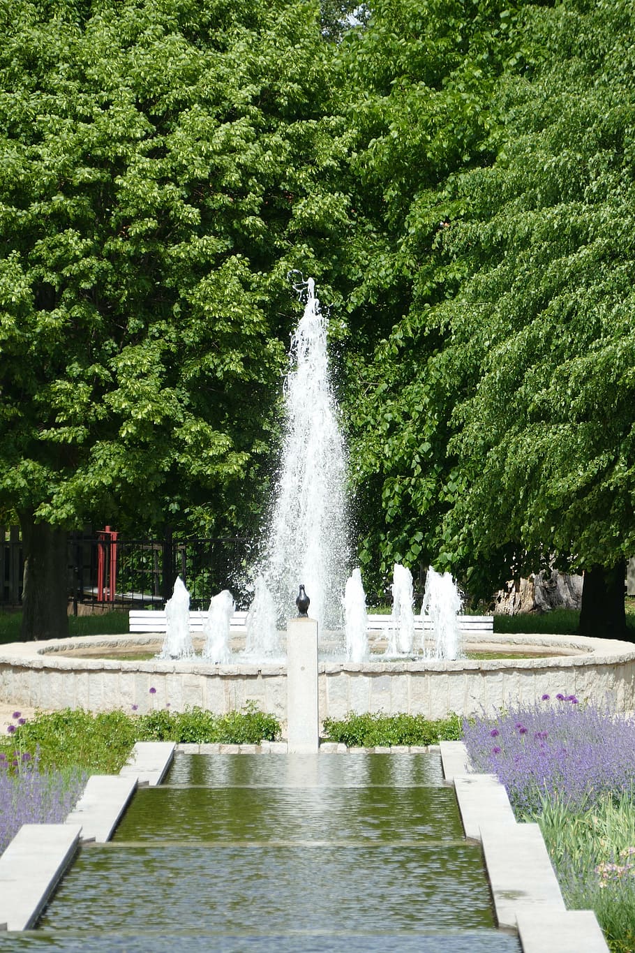 park, water feature, plant, bach, water basin, places of interest, water fountain, city park, blue, liquid