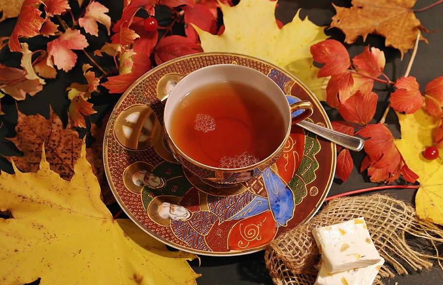 secangkir teh, tee, waktu teh, cangkir teh, panas, musim gugur, warna musim gugur, daun gugur, peralatan makan, membangun