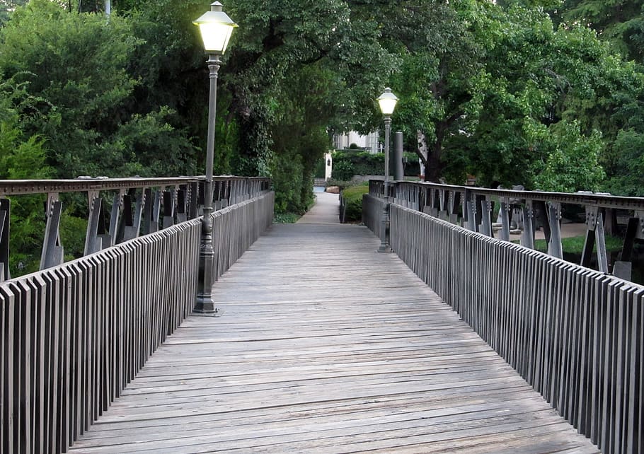 footbridge, lamp posts, bridge, path, wood, planks, park, plant, railing, tree