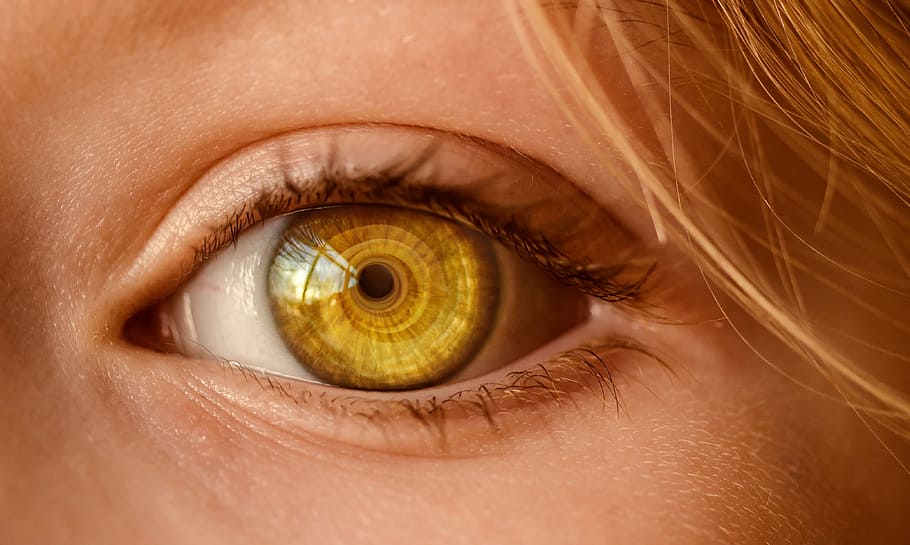 olho amarelo da pessoa, olho, olhar, olho aberto, para assistir, observar, vista, aluno, olhando, guias