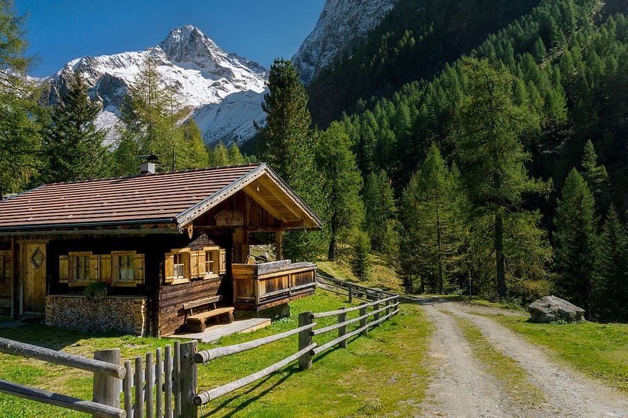house, road, away, trees, mountains, landscape, alpine, austria, rest, alm