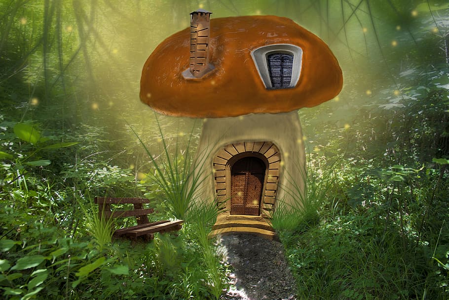 mushroom, house, fantasy, fungus, fantasia, nature, art, cottage, plant, day