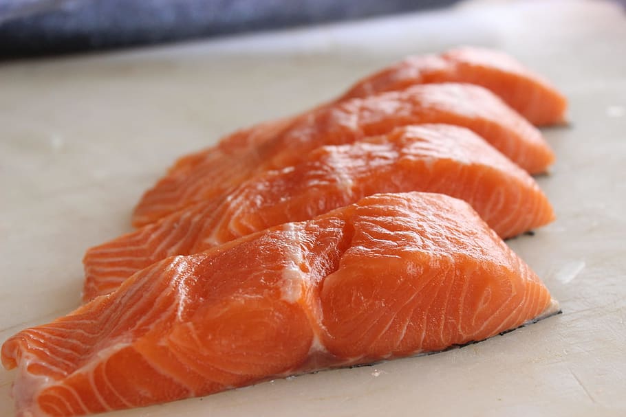salmon, court, fish, fresh, raw, fishing, food, food and drink, freshness, close-up