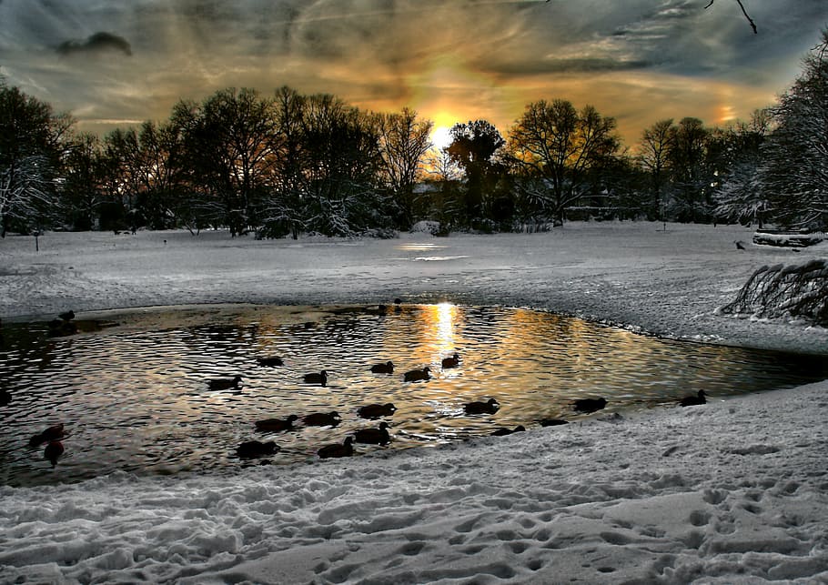 Gelsenkirchen, Bulmker Park, paisaje nevado, puesta de sol, invernal, frío, cielo nocturno, nieve, anochecer, invierno