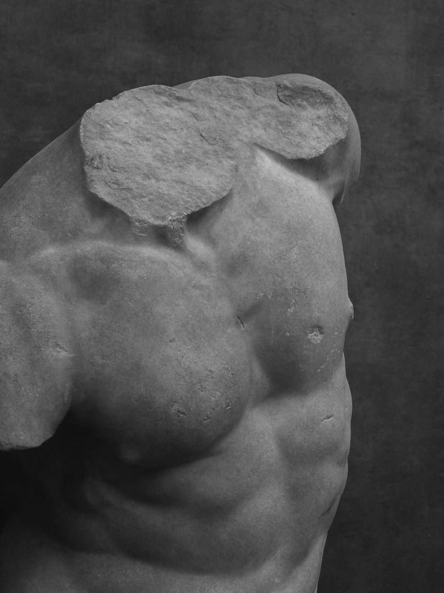 バスト イタリア アートワーク 美術館 彫像 彫刻 アーティスト 図 アート フィレンツェ Pxfuel