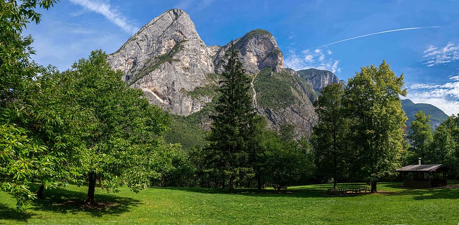 зеленый, деревья, серый, гора, альпийский, горы, небо, панорама, южный Тироль, Швейцария