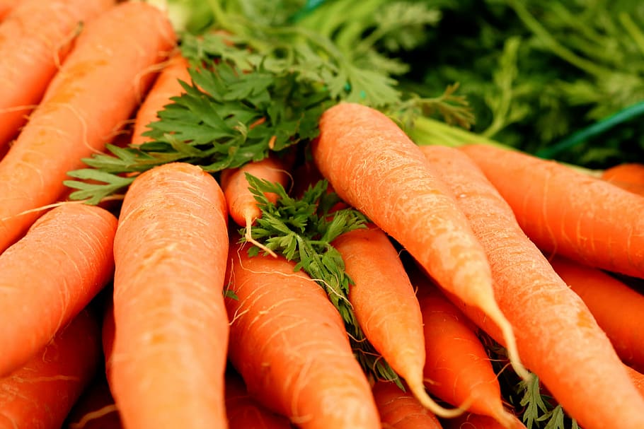 pile of carrots, carrots, carrot, federal government, vegetables, healthy, food, eat, vitamins, bio