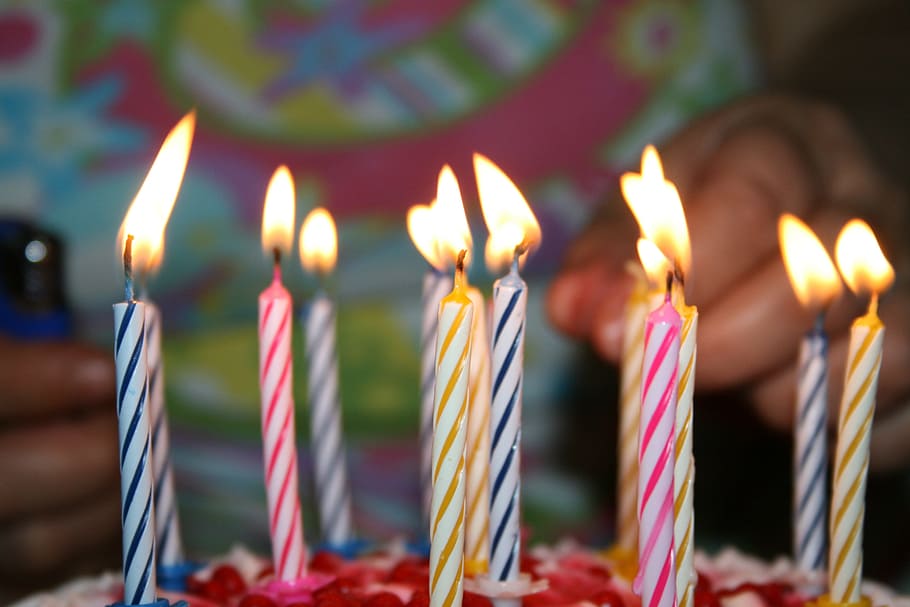 selective, focus photography, lighted, cake candles, candle, birthday, life, burning, event, fire