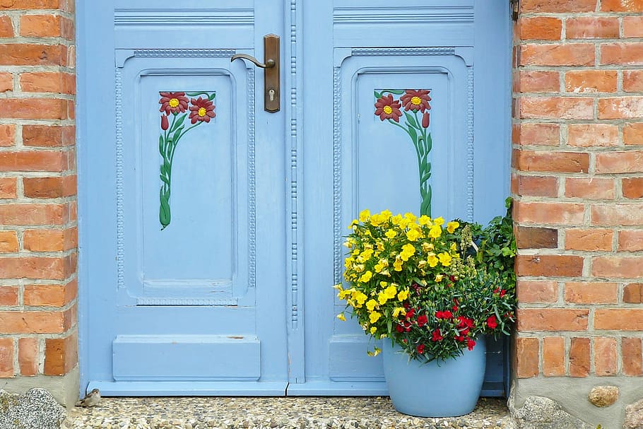 yellow, red, flower arrangement, blue, wooden, Door, Input, House, Entrance, Old