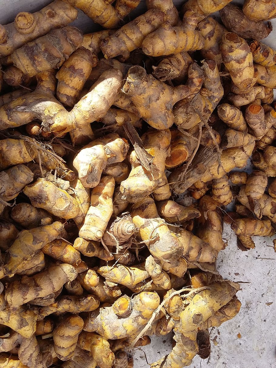 Turmeric, Boiled, Rustic, Setting, rustic setting, food and drink, close-up, outdoors, day, freshness