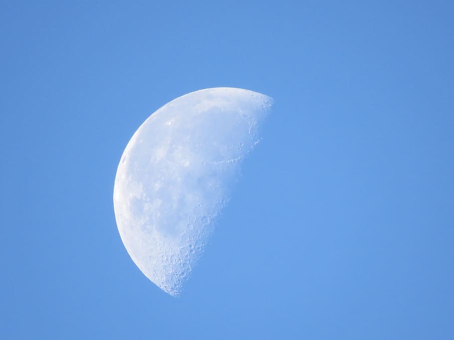 half moon, Moon, Daytime, Day, sky, the moon by day, blue, clear sky, moon surface, beauty in nature