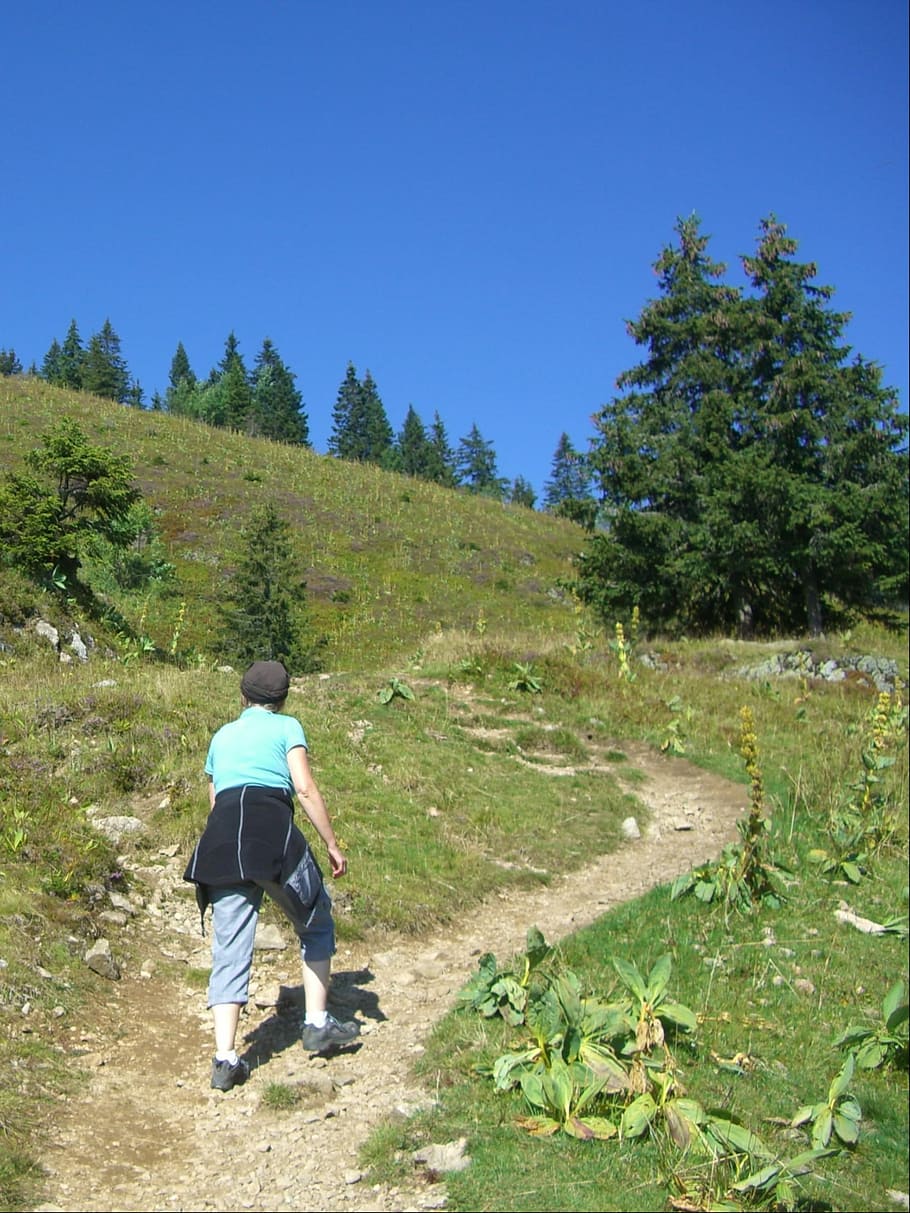 Path, Migratory, Tight, migratory path, tight wadeln, mountain path, trail, away, hike, hiking