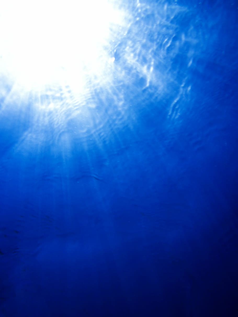 sem título, abaixo, azul, profundo, mergulho, luz, oceano, mar, sol, superfície