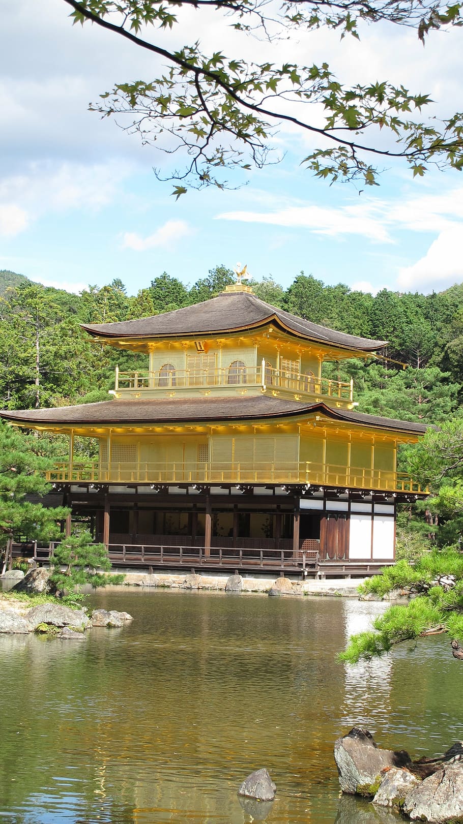kinkaku-ji, kyoto, japão, templo do pavilhão dourado, 鹿苑 寺, 金 閣 寺, 京都, 日本, estrutura construída, árvore