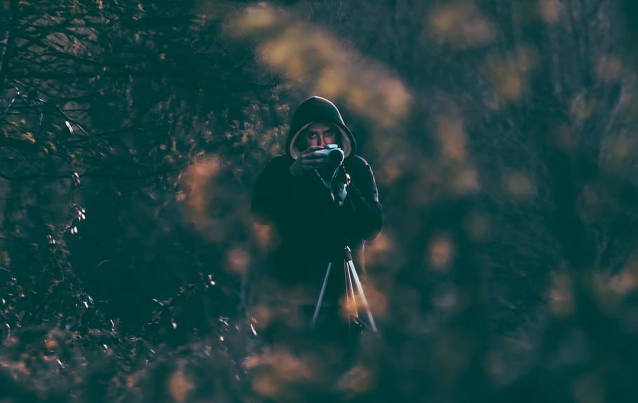 people, man, woods, forest, camera, photography, tripod, photoshoot, one person, photography themes