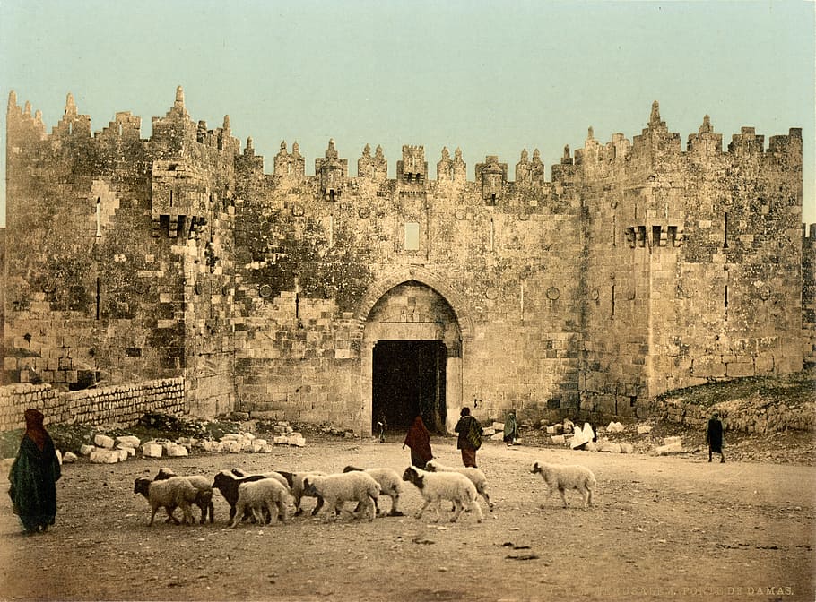 Alrededor de 1900, Puerta de Damasco, Jerusalén, Israel, arquitectura, fotos, puerta, dominio público, pared, temas de animales
