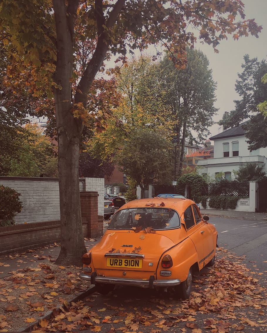 London, Street, England, autumn, urban, city, uk, leaves, fallen, golden