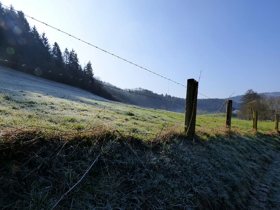 fence, zing, ripe, frozen, barbed wire, morning, pasture, landscape, nature, sky