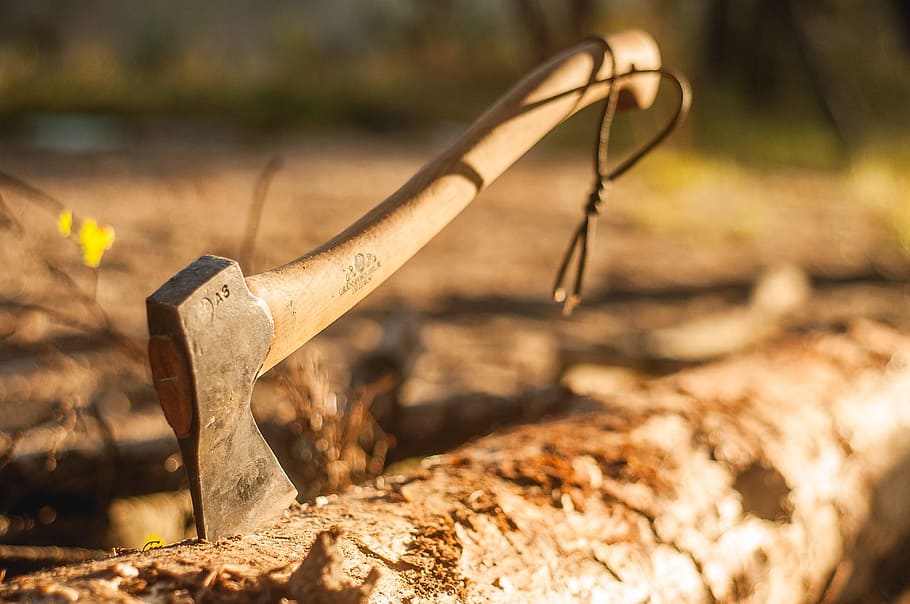 axe, top, log, forest, tourism, camping, metal, work tool, focus on foreground, tool