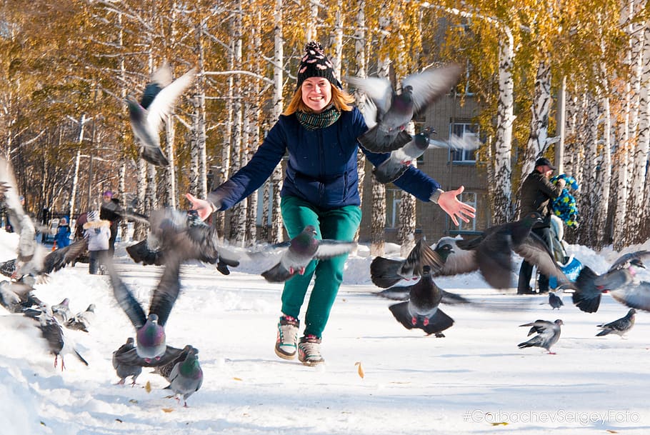 winter, snow, fun, motion, coldly, delight, act, outdoors, time, pigeons