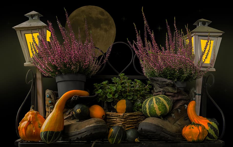 photography, vegetable arrangement, autumn mood, pumpkin, autumn, star, moon, lights, lantern, decoration