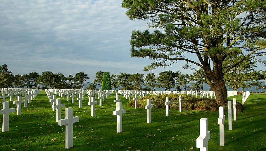normandía, cementerio americano, tumbas, día d, segunda guerra mundial, planta, árbol, en una fila, tumba, hierba