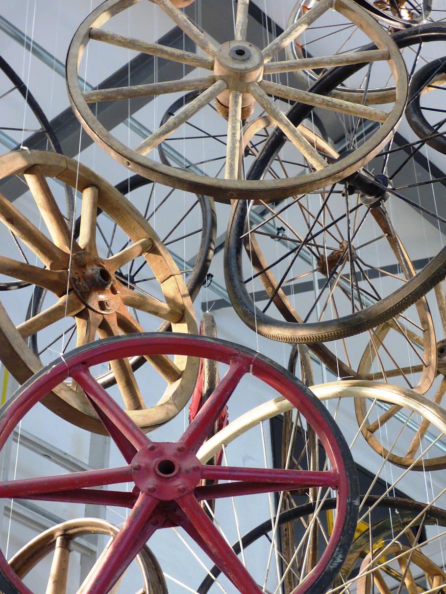 wheel, wheels, car, spokes, the background, tourism, design, wallpaper, transport, animal