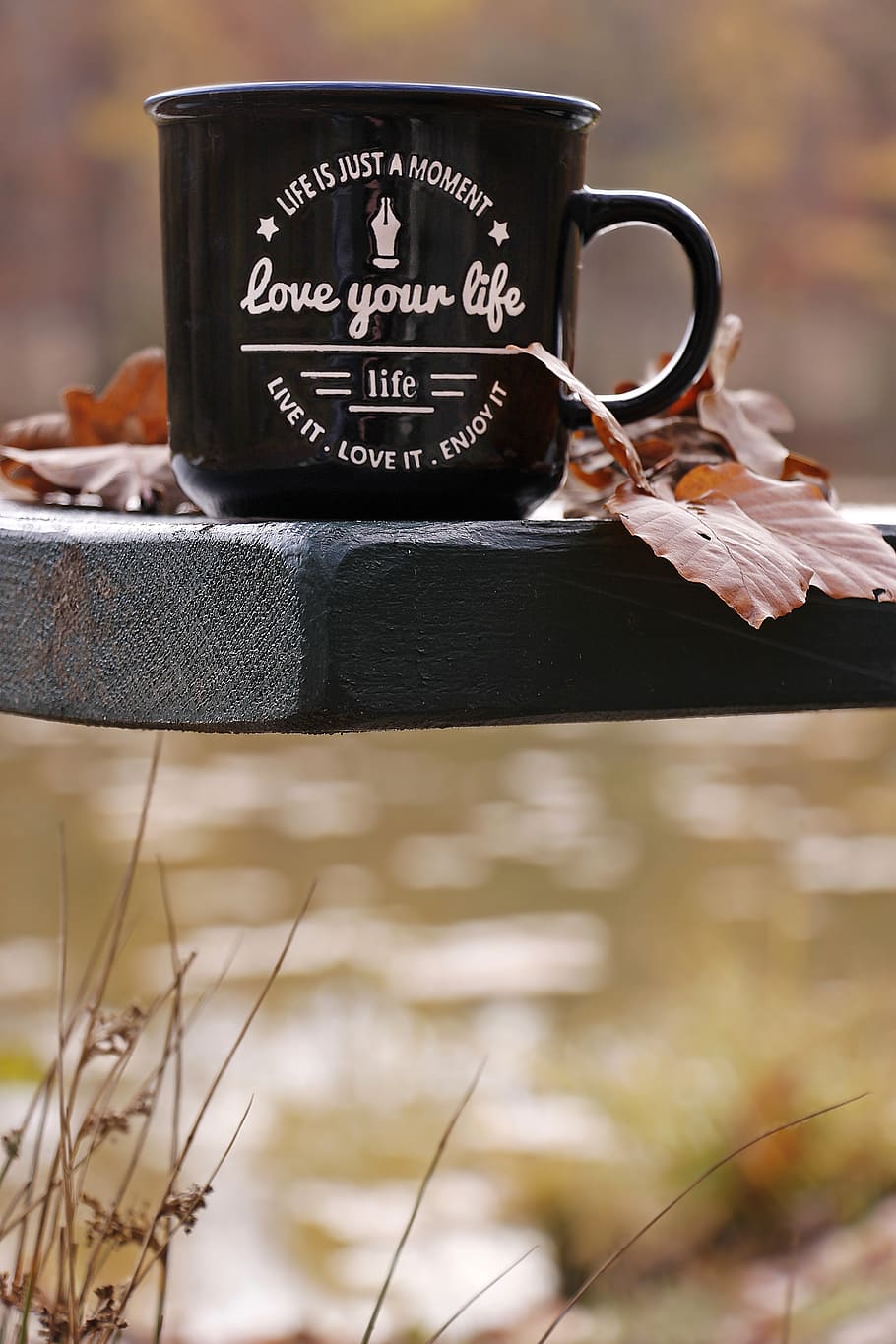 autumn, forest, cup, waldsee, bench, love your life, motto, leaves, fall foliage, rest