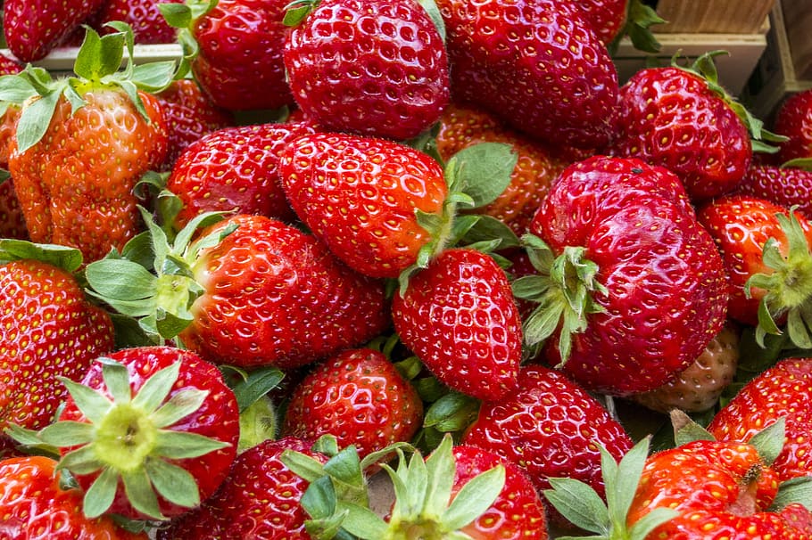 딸기, 과일, 빨간, 단, 맛있는, 음식, 여름, 말린 씨앗, 자연, 혜택