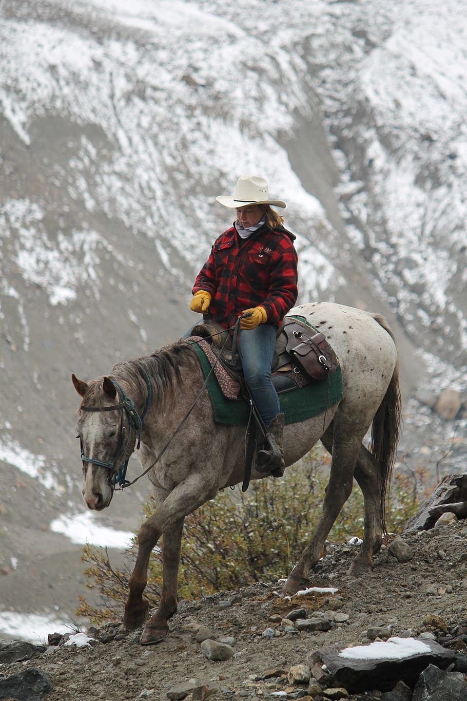 woman, riding, white, horse, cowgirl, western, canadian, mountain, horseback, alberta