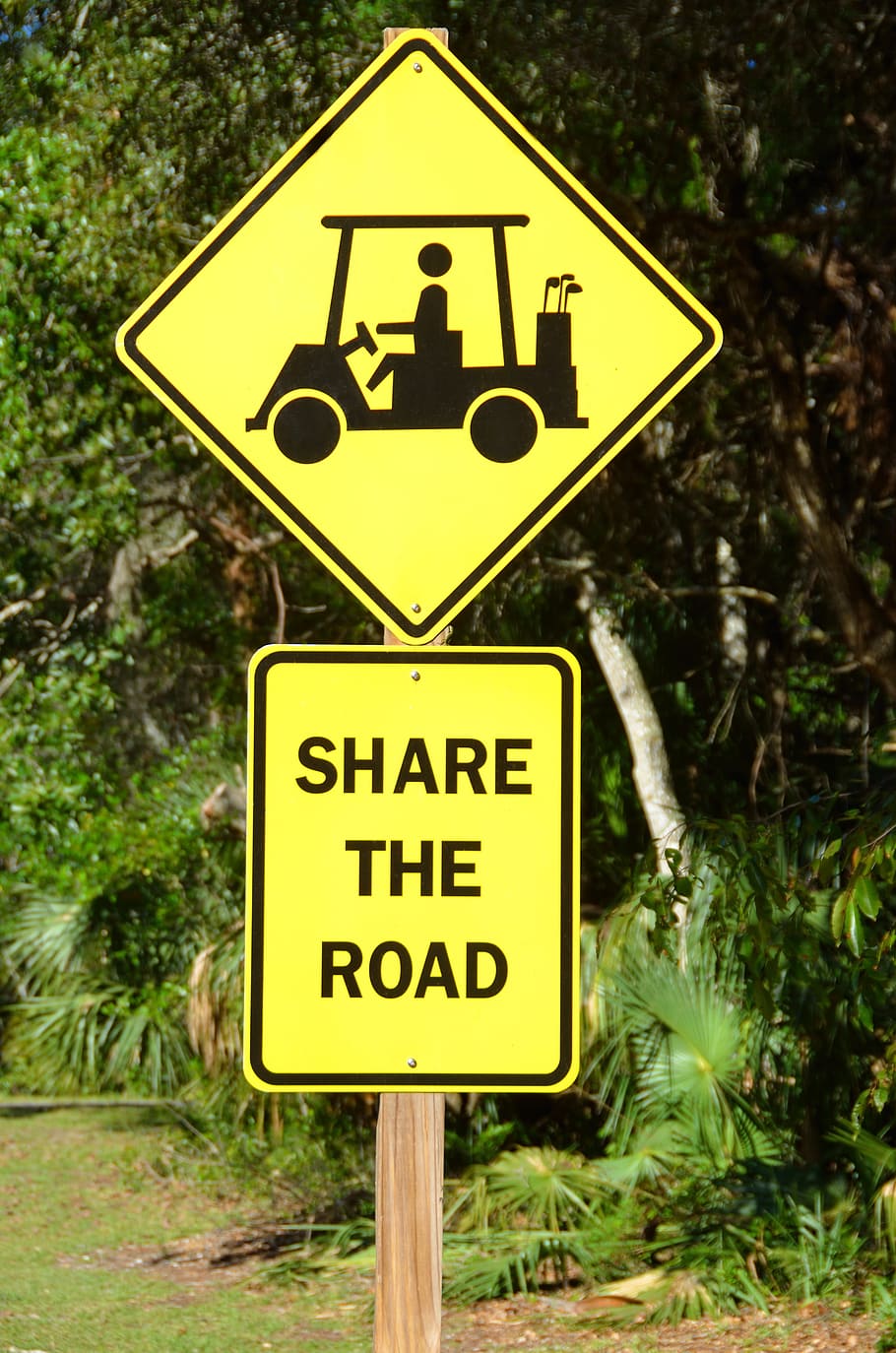 Golf Cart, Crossing, Sign, share the road, golf, sport, course, golfer, symbol, bag