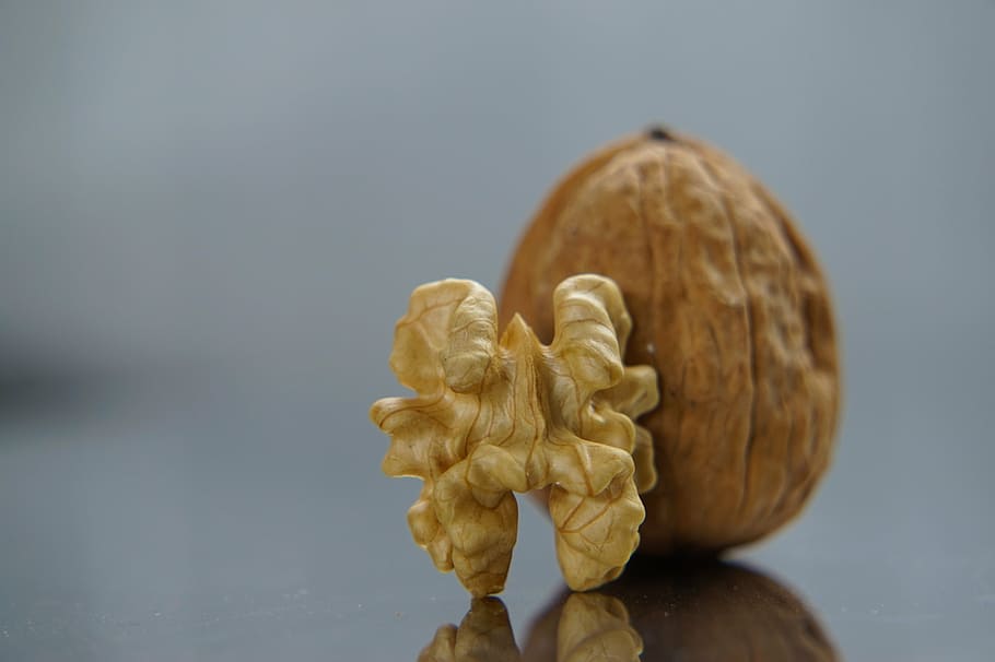 brown walnut, nut, nuts, dry fruit, food, nature, studio shot, wood - material, close-up, human body part