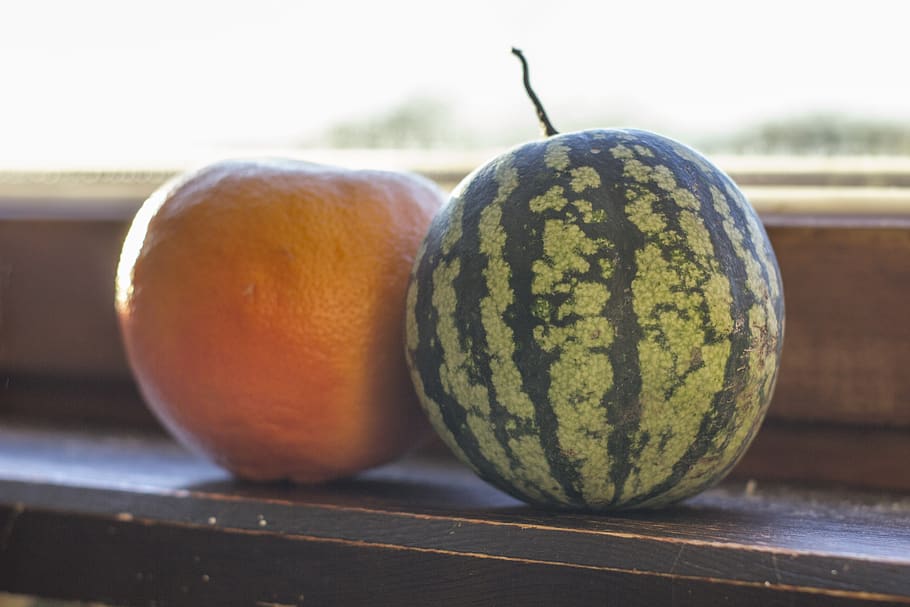 small, watermelon, grapefruit, window, window sill, healthy eating, food and drink, fruit, food, wellbeing