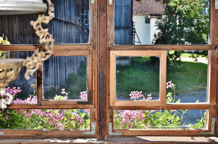 beige wooden windowpane, window, old, ailing, flowers, atmosphere, view, see, watch, environment