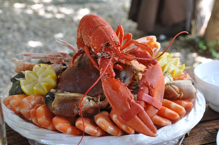 lobster, shrimp dish, white, ceramic, bowl, seafood platter, crustaceans, food, seafood, kitchen