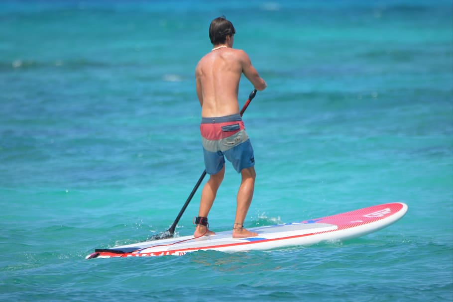 man, people, paddle, sea, swim shorts, surfboard, shirtless, water, one person, vacations