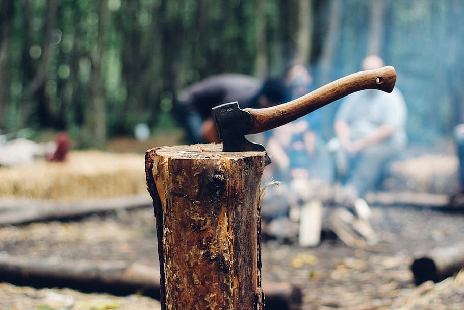 axe, wood, logs, lumber, camping, outdoors, nature, focus on foreground, wood - material, day