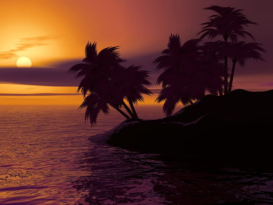 tree silhouette, sea, golden, hour, graphic, island, palm, sunset, sunrise, caribbean