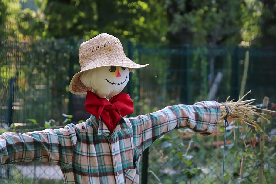 scarecrow, garden, gardening, protection, plants, summer, color, predators, hat, clothing
