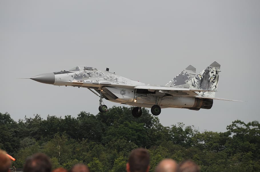 aircraft, military, jet, flew, mig29, fighter jet, fighter aircraft, air force, air vehicle, airplane