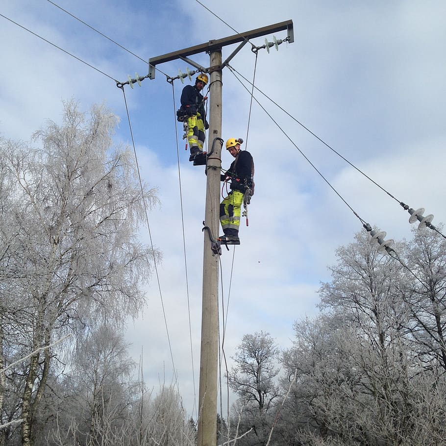 pole climbing, electric lines, security, dangerous, work, low angle view, occupation, sky, nature, real people