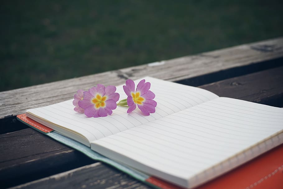 three, purple, petaled flowers, witting notebook, bench, flower, notebook, pen, wooden, notepad