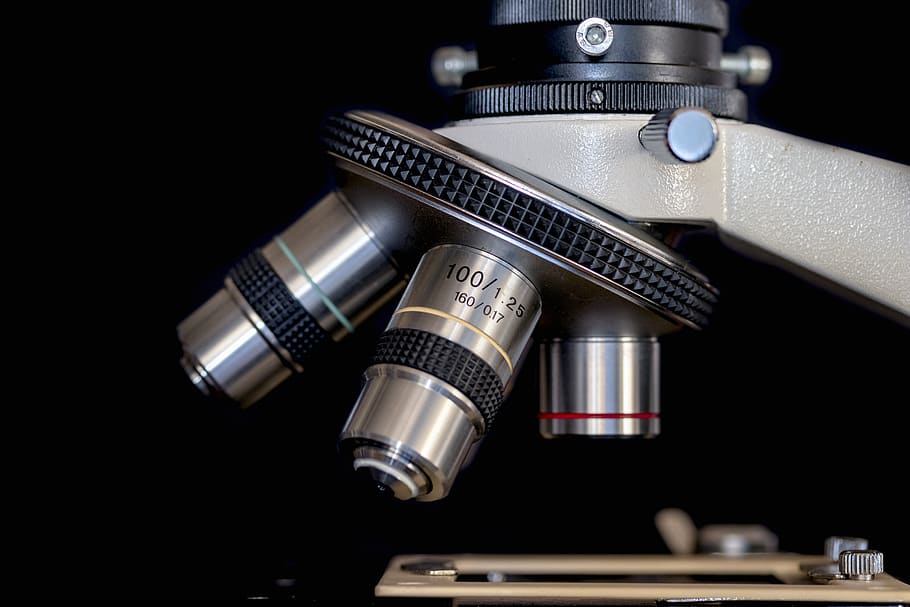 mikroskop, meluncur, penelitian, merapatkan, uji, percobaan, mencicipi, alat, bioteknologi, analisis