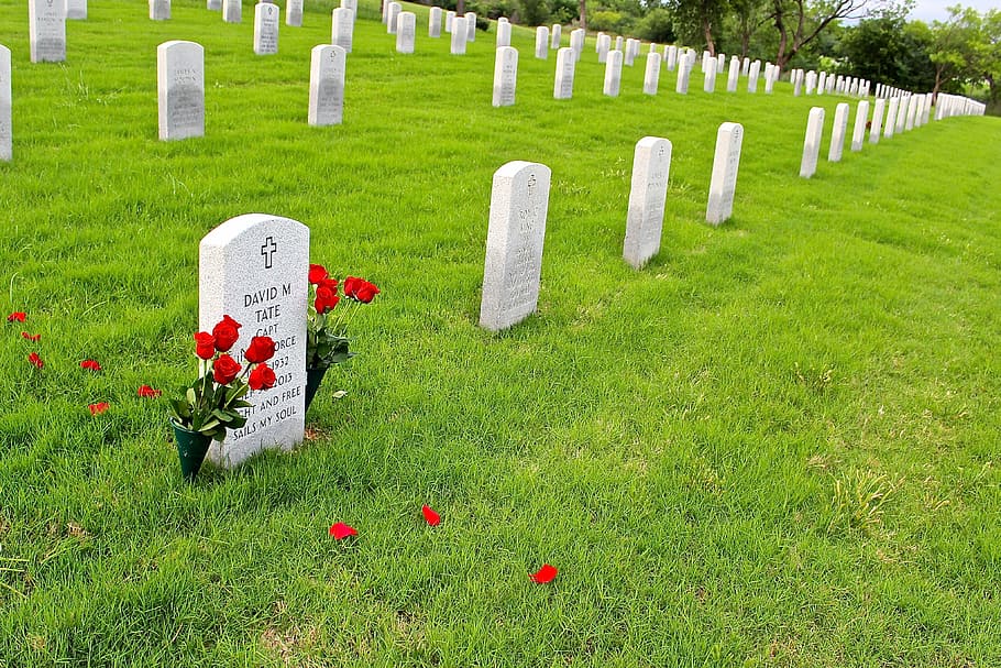 graveyard, military, cemetery, memorial, soldier, war, headstone, gravestone, tombstone, fallen