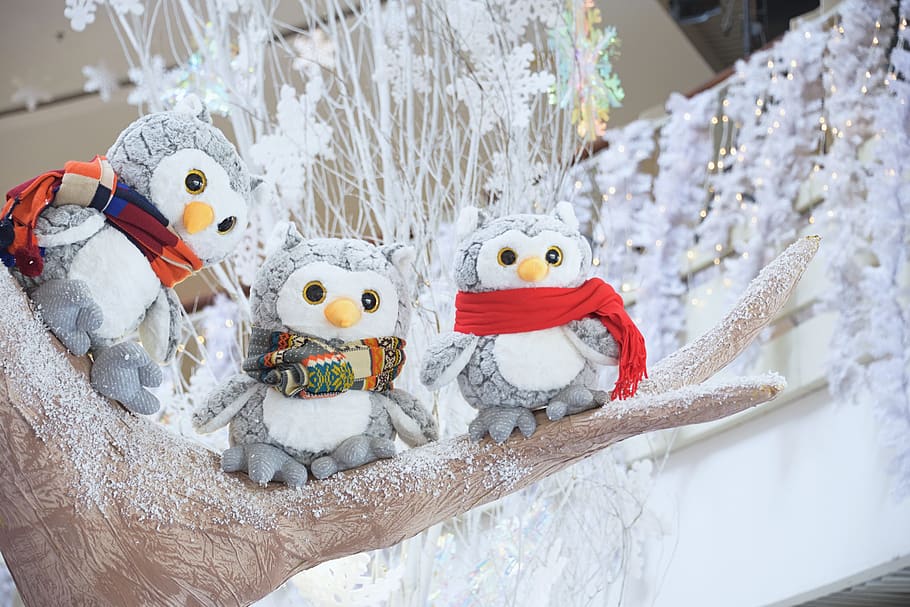 christmas, x-mas, xmas, cute decoration, cute owl, owl, winter owl, festive, lights, joy