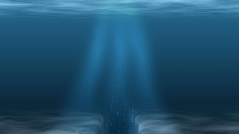 bawah air, laut, plankton, biru, air, penyelam, alam, latar belakang, gerakan, abstrak