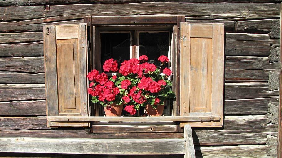 window, flowers, home, wood, alpine, salzburg, wood - Material, flower, house, old